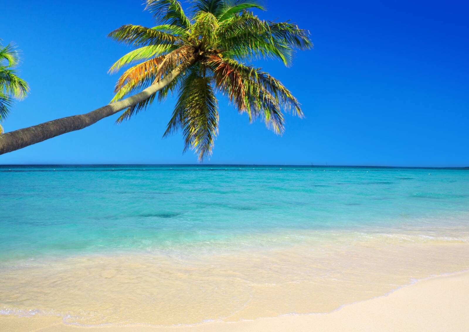 saint martin free