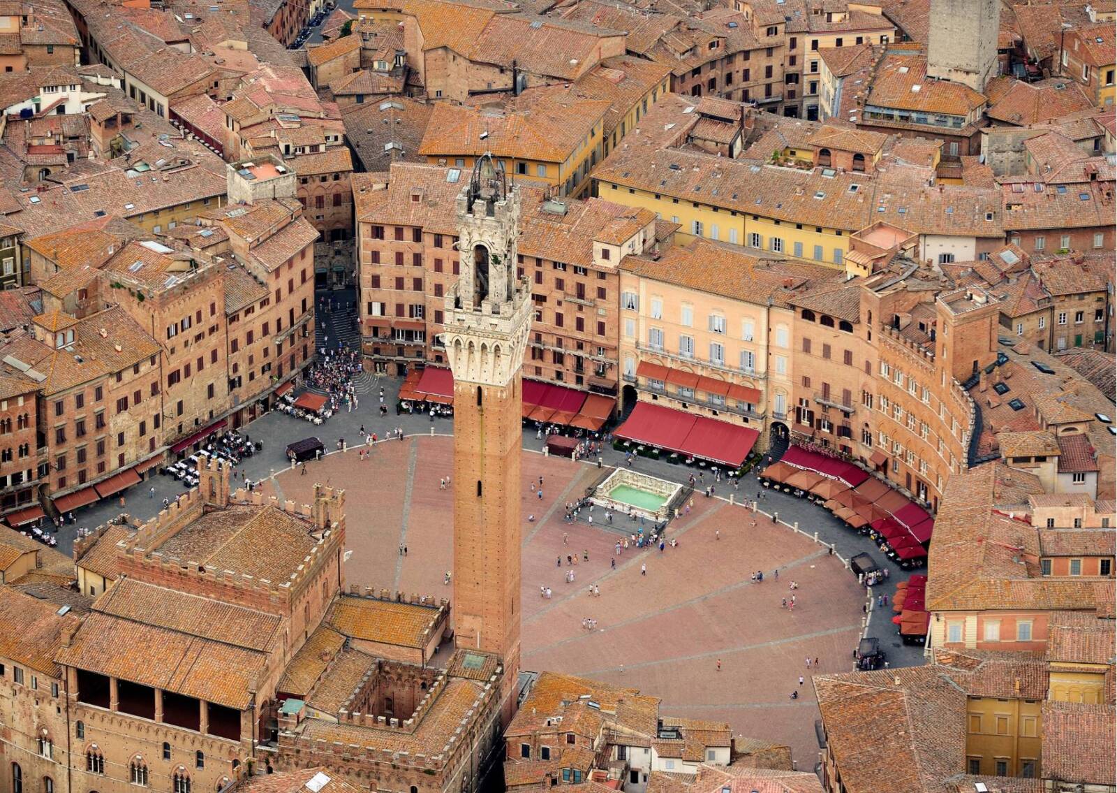 SIENA FREE