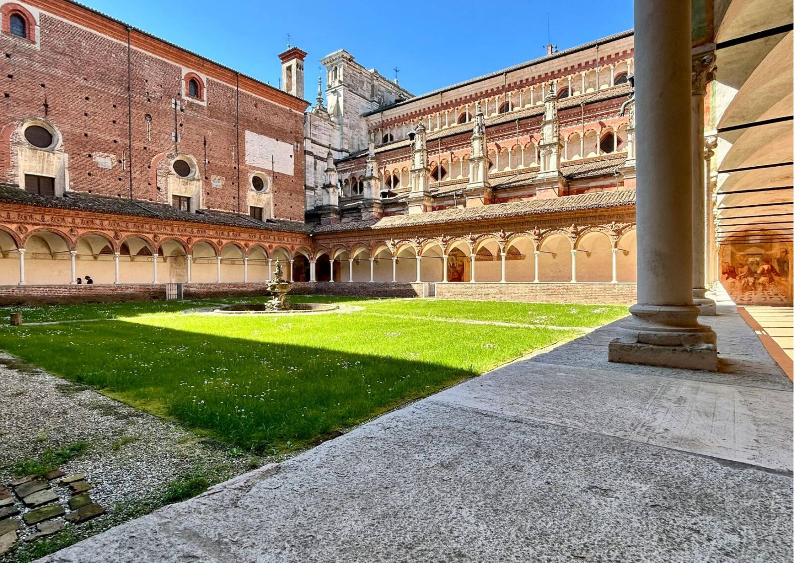 Pavia free