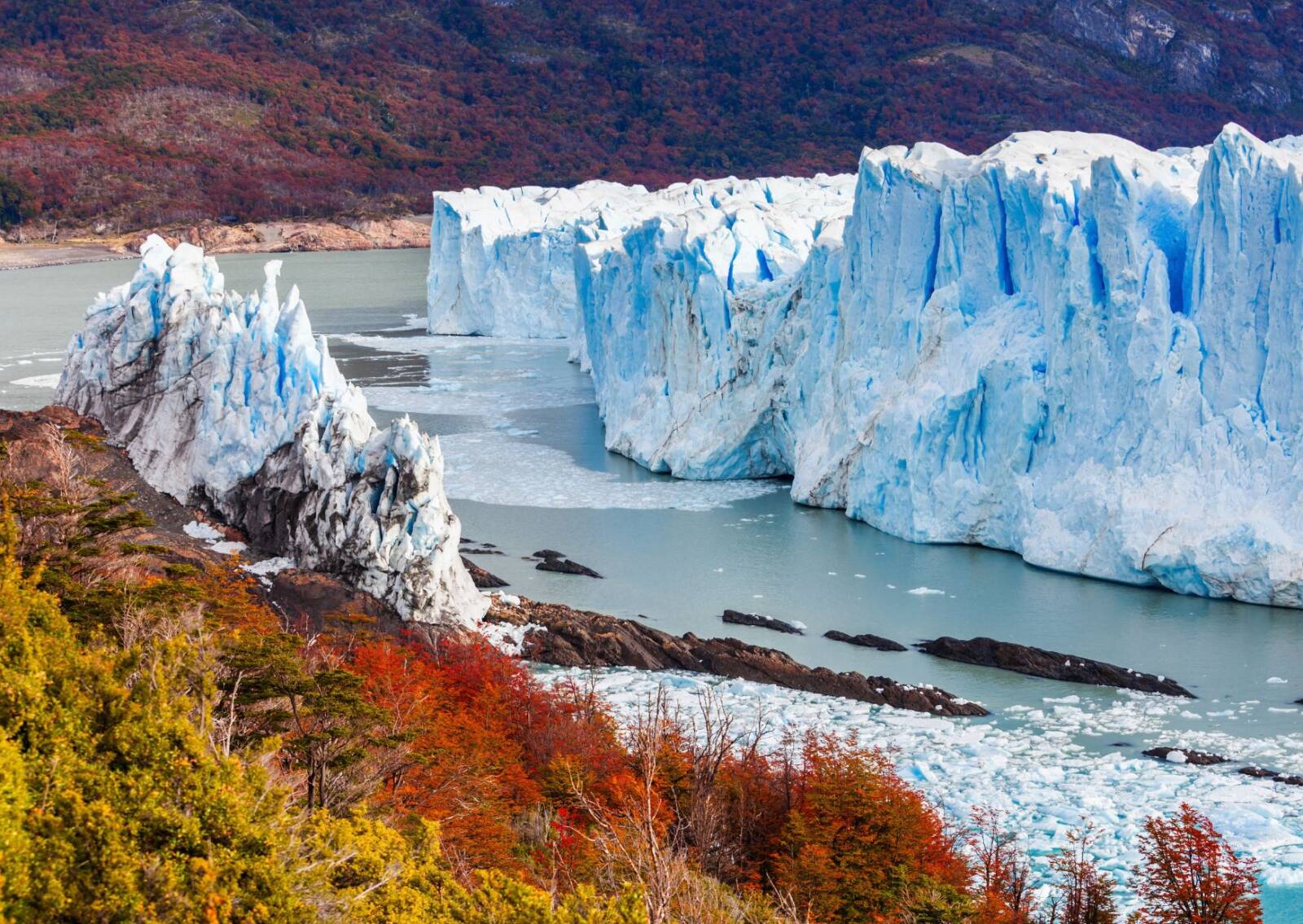argentina free